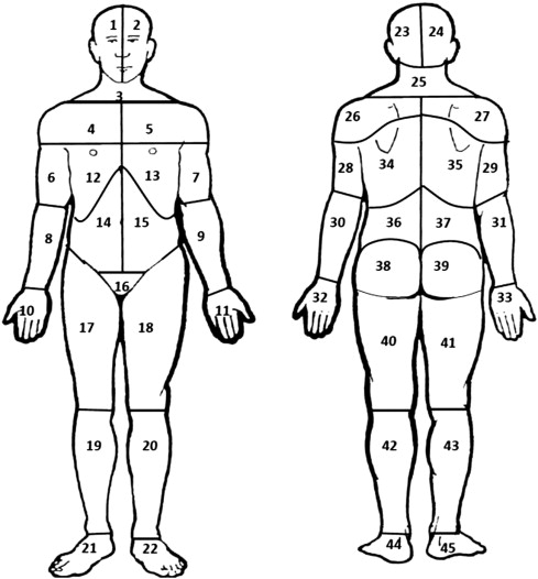 Intake Form Philadelphia Chiropractor Dr Jeff Sklar